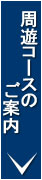 周遊コースのご案内